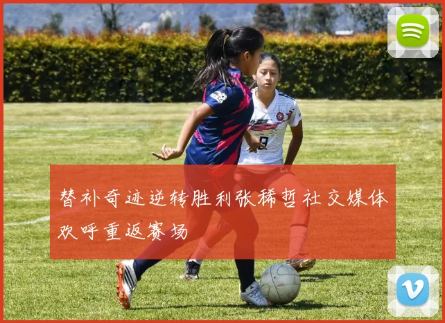 替补奇迹逆转胜利张稀哲社交媒体欢呼重返赛场